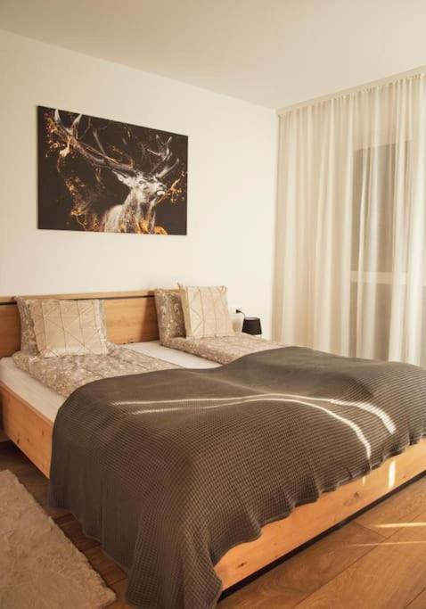 5 Dream Apartment 5 Cu Parcare Privata Oradea Exterior foto